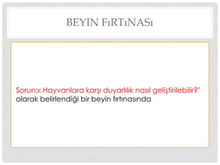 BEYIN FıRTıNASı
Sorun;« Hayvanlara karĢı duyarlılık nasıl geliĢtirilebilir?"
olarak belirlendiği bir beyin fırtınasında
 