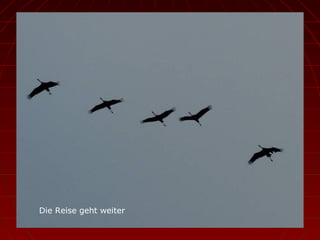 Die Reise geht weiter 
