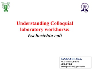 Understanding Colloquial 
laboratory workhorse: 
Escherichia coli 
PANKAJ DHAKA, 
Ph.D Scholar, P-1741 
VPH, I.V.R.I 
pankaj.dhaka2@gmail.com 
 