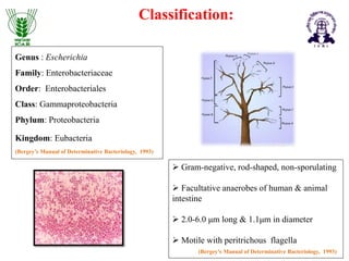 Understanding Colloquial laboratory workhorse: Escherichia coli | PPTX