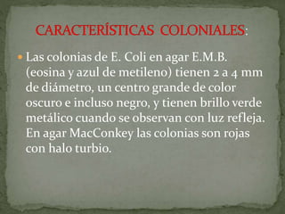  Las colonias de E. Coli en agar E.M.B. 
(eosina y azul de metileno) tienen 2 a 4 mm 
de diámetro, un centro grande de color 
oscuro e incluso negro, y tienen brillo verde 
metálico cuando se observan con luz refleja. 
En agarMacConkey las colonias son rojas 
con halo turbio. 
 