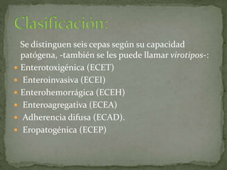 Se distinguen seis cepas según su capacidad 
patógena, -también se les puede llamar virotipos-: 
 Enterotoxigénica (ECET) 
 Enteroinvasiva (ECEI) 
 Enterohemorrágica (ECEH) 
 Enteroagregativa (ECEA) 
 Adherencia difusa (ECAD). 
 Eropatogénica (ECEP) 
 