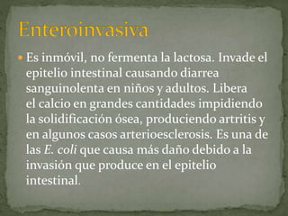  Es inmóvil, no fermenta la lactosa. Invade el 
epitelio intestinal causando diarrea 
sanguinolenta en niños y adultos. Libera 
el calcio en grandes cantidades impidiendo 
la solidificación ósea, produciendo artritis y 
en algunos casos arterioesclerosis. Es una de 
las E. coli que causa más daño debido a la 
invasión que produce en el epitelio 
intestinal. 
 