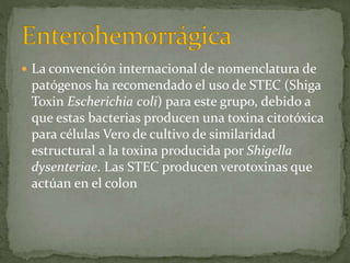 La convención internacional de nomenclatura de 
patógenos ha recomendado el uso de STEC (Shiga 
Toxin Escherichia coli) para este grupo, debido a 
que estas bacterias producen una toxina citotóxica 
para células Vero de cultivo de similaridad 
estructural a la toxina producida por Shigella 
dysenteriae. Las STEC producen verotoxinas que 
actúan en el colon 
 