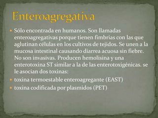  Sólo encontrada en humanos. Son llamadas 
enteroagregativas porque tienen fimbrias con las que 
aglutinan células en los cultivos de tejidos. Se unen a la 
mucosa intestinal causando diarrea acuosa sin fiebre. 
No son invasivas. Producen hemolisina y una 
enterotoxina ST similar a la de las enterotoxigénicas. se 
le asocian dos toxinas: 
 toxina termoestable enteroagregante (EAST) 
 toxina codificada por plasmidos (PET) 
 