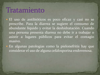  El uso de antibióticos es poco eficaz y casi no se 
prescribe. Para la diarrea se sugiere el consumo de 
abundante líquido y evitar la deshidratación. Cuando 
una persona presenta diarrea no debe ir a trabajar o 
asistir a lugares públicos para evitar el contagio 
masivo. 
 En algunas patologías como la pielonefritis hay que 
considerar el uso de alguna cefalosporina endovenosa. 
 