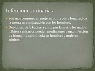  Son mas comunes en mujeres por la corta longitud de 
la uretra en comparación con los hombres. 
 Debido a que la bacteria entra por la uretra los malos 
hábitos sanitarios pueden predisponer a una infección 
de forma indiscriminada en hombres y mujeres 
adultos. 
 