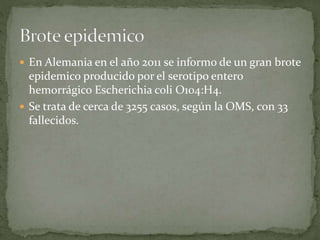  En Alemania en el año 2011 se informo de un gran brote 
epidemico producido por el serotipo entero 
hemorrágico Escherichia coli O104:H4. 
 Se trata de cerca de 3255 casos, según la OMS, con 33 
fallecidos. 
 