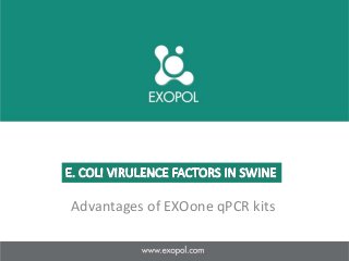 Advantages of EXOone qPCR kits
 