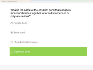 Biological Macromolecules
What is the name of the covalent bond that connects
monosaccharides together to form disaccharides or
polysaccharides?
A) Peptide bond
B) Ester bond
C) Phosphodiester linkage
D) Glycosidic bond
 