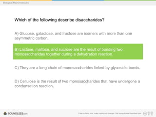 Free to share, print, make copies and changes. Get yours at www.boundless.com
Biological Macromolecules
Which of the following describe disaccharides?
A) Glucose, galactose, and fructose are isomers with more than one
asymmetric carbon.
B) Lactose, maltose, and sucrose are the result of bonding two
monosaccharides together during a dehydration reaction.
C) They are a long chain of monosaccharides linked by glycosidic bonds.
D) Cellulose is the result of two monosaccharides that have undergone a
condensation reaction.
 