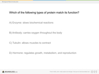 Free to share, print, make copies and changes. Get yours at www.boundless.com
Biological Macromolecules
Which of the following types of protein match its function?
A) Enzyme: slows biochemical reactions
B) Antibody: carries oxygen throughout the body
C) Tubulin: allows muscles to contract
D) Hormone: regulates growth, metabolism, and reproduction
 