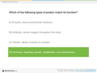 Free to share, print, make copies and changes. Get yours at www.boundless.com
Boundless - Key Term. "Boundless." CC BY-SA 3.0 http://www.boundless.com/
Biological Macromolecules
Which of the following types of protein match its function?
A) Enzyme: slows biochemical reactions
B) Antibody: carries oxygen throughout the body
C) Tubulin: allows muscles to contract
D) Hormone: regulates growth, metabolism, and reproduction
 