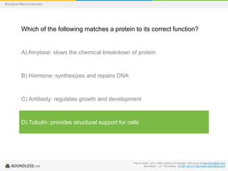Free to share, print, make copies and changes. Get yours at www.boundless.com
Boundless - LO. "Boundless." CC BY-SA 3.0 http://www.boundless.com/
Biological Macromolecules
Which of the following matches a protein to its correct function?
A) Amylase: slows the chemical breakdown of protein
B) Hormone: synthesizes and repairs DNA
C) Antibody: regulates growth and development
D) Tubulin: provides structural support for cells
 