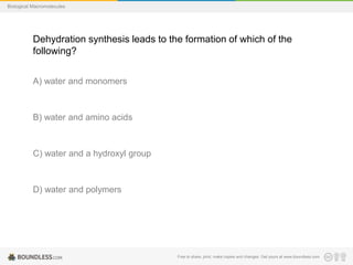 Free to share, print, make copies and changes. Get yours at www.boundless.com
Biological Macromolecules
Dehydration synthesis leads to the formation of which of the
following?
A) water and monomers
B) water and amino acids
C) water and a hydroxyl group
D) water and polymers
 