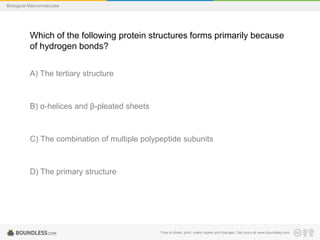 Free to share, print, make copies and changes. Get yours at www.boundless.com
Biological Macromolecules
Which of the following protein structures forms primarily because
of hydrogen bonds?
A) The tertiary structure
B) α-helices and β-pleated sheets
C) The combination of multiple polypeptide subunits
D) The primary structure
 