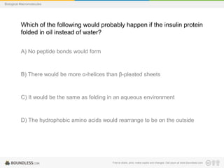 Free to share, print, make copies and changes. Get yours at www.boundless.com
Biological Macromolecules
Which of the following would probably happen if the insulin protein
folded in oil instead of water?
A) No peptide bonds would form
B) There would be more α-helices than β-pleated sheets
C) It would be the same as folding in an aqueous environment
D) The hydrophobic amino acids would rearrange to be on the outside
 
