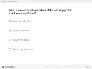Free to share, print, make copies and changes. Get yours at www.boundless.com
Biological Macromolecules
When a protein denatures, which of the following protein
structures is unaffected?
A) Secondary structure
B) Tertiary structure
C) Primary structure
D) Quaternary structure
 