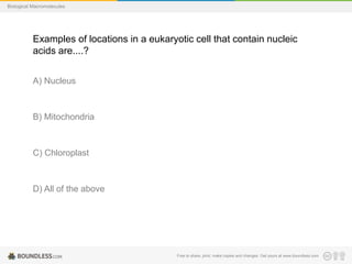 Free to share, print, make copies and changes. Get yours at www.boundless.com
Biological Macromolecules
Examples of locations in a eukaryotic cell that contain nucleic
acids are....?
A) Nucleus
B) Mitochondria
C) Chloroplast
D) All of the above
 