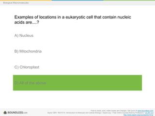 Free to share, print, make copies and changes. Get yours at www.boundless.com
Saylor OER. "BIO101A: Introduction to Molecular and Cellular Biology « Saylor.org – Free Online Courses Built by Professors." CC BY 3.0
http://www.saylor.org/courses/bio101a/
Biological Macromolecules
Examples of locations in a eukaryotic cell that contain nucleic
acids are....?
A) Nucleus
B) Mitochondria
C) Chloroplast
D) All of the above
 
