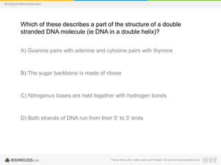 Free to share, print, make copies and changes. Get yours at www.boundless.com
Biological Macromolecules
Which of these describes a part of the structure of a double
stranded DNA molecule (ie DNA in a double helix)?
A) Guanine pairs with adenine and cytosine pairs with thymine
B) The sugar backbone is made of ribose
C) Nitrogenus bases are held together with hydrogen bonds
D) Both strands of DNA run from their 5' to 3' ends
 