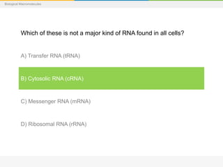 Biological Macromolecules
Which of these is not a major kind of RNA found in all cells?
A) Transfer RNA (tRNA)
B) Cytosolic RNA (cRNA)
C) Messenger RNA (mRNA)
D) Ribosomal RNA (rRNA)
 