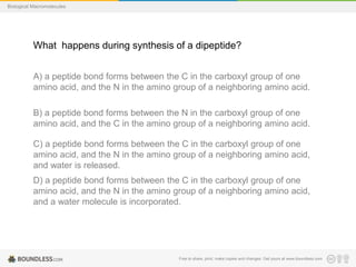 Free to share, print, make copies and changes. Get yours at www.boundless.com
Biological Macromolecules
What happens during synthesis of a dipeptide?
A) a peptide bond forms between the C in the carboxyl group of one
amino acid, and the N in the amino group of a neighboring amino acid.
B) a peptide bond forms between the N in the carboxyl group of one
amino acid, and the C in the amino group of a neighboring amino acid.
C) a peptide bond forms between the C in the carboxyl group of one
amino acid, and the N in the amino group of a neighboring amino acid,
and water is released.
D) a peptide bond forms between the C in the carboxyl group of one
amino acid, and the N in the amino group of a neighboring amino acid,
and a water molecule is incorporated.
 