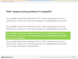 Free to share, print, make copies and changes. Get yours at www.boundless.com
Biological Macromolecules
What happens during synthesis of a dipeptide?
A) a peptide bond forms between the C in the carboxyl group of one
amino acid, and the N in the amino group of a neighboring amino acid.
B) a peptide bond forms between the N in the carboxyl group of one
amino acid, and the C in the amino group of a neighboring amino acid.
C) a peptide bond forms between the C in the carboxyl group of one
amino acid, and the N in the amino group of a neighboring amino acid,
and water is released.
D) a peptide bond forms between the C in the carboxyl group of one
amino acid, and the N in the amino group of a neighboring amino acid,
and a water molecule is incorporated.
 