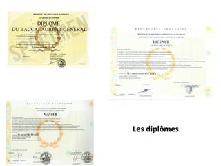 Les diplômes
 