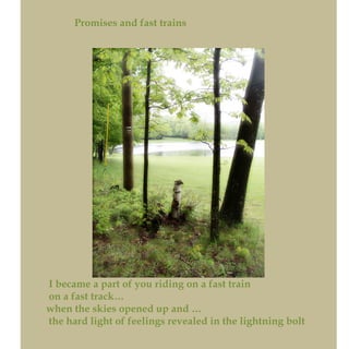 Promises and fast trains
I became a part of you riding on a fast train
on a fast track…
when the skies opened up and …
the hard light of feelings revealed in the lightning bolt
 