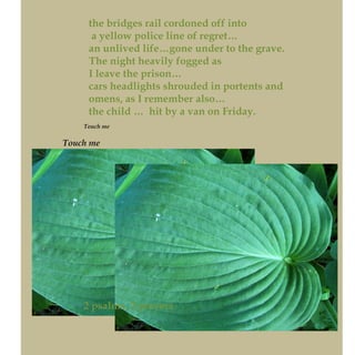 the bridges rail cordoned off into
a yellow police line of regret…
an unlived life…gone under to the grave.
The night heavily fogged as
I leave the prison…
cars headlights shrouded in portents and
omens, as I remember also…
the child … hit by a van on Friday.
Touch me
Touch me
2 psalms, 2 prayers
 