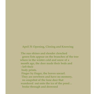April 31 Opening, Closing and Knowing
The sun shines and slender clenched
green fists appear on the branches of the tree
where in the winter cold and snow of a
month ago, the deer made their beds and
- left their
body prints.
Finger by finger, the leaves uncurl.
They are newborn and have no memory,
no snapshot of the lone deer that
wandered out onto the ice of the pond…
broke through and drowned
 