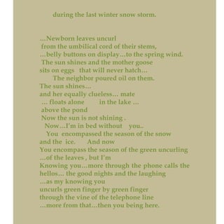 during the last winter snow storm.
…Newborn leaves uncurl
from the umbilical cord of their stems,
…belly buttons on display…to the spring wind.
The sun shines and the mother goose
sits on eggs that will never hatch…
The neighbor poured oil on them.
The sun shines…
and her equally clueless… mate
… floats alone in the lake …
above the pond
Now the sun is not shining .
Now…I’m in bed without you..
You encompassed the season of the snow
and the ice. And now
You encompass the season of the green uncurling
…of the leaves , but I’m
Knowing you…more through the phone calls the
hellos… the good nights and the laughing
…as my knowing you
uncurls green finger by green finger
through the vine of the telephone line
…more from that…then you being here.
 