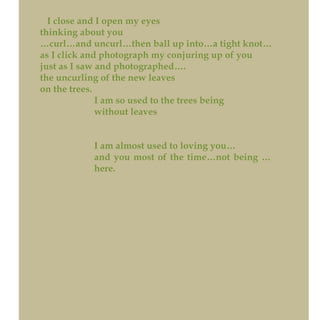 I close and I open my eyes
thinking about you
…curl…and uncurl…then ball up into…a tight knot…
as I click and photograph my conjuring up of you
just as I saw and photographed….
the uncurling of the new leaves
on the trees.
I am so used to the trees being
without leaves
I am almost used to loving you…
and you most of the time…not being …
here.
 
