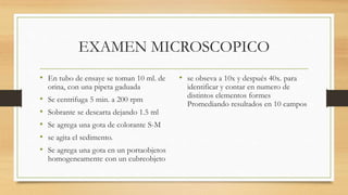 EXAMEN MICROSCOPICO
• En tubo de ensaye se toman 10 ml. de
orina, con una pipeta gaduada
• Se centrifuga 5 min. a 200 rpm
• Sobrante se descarta dejando 1.5 ml
• Se agrega una gota de colorante S-M
• se agita el sedimento.
• Se agrega una gota en un portaobjetos
homogeneamente con un cubreobjeto
• se obseva a 10x y después 40x. para
identificar y contar en numero de
distintos elementos formes
Promediando resultados en 10 campos
 