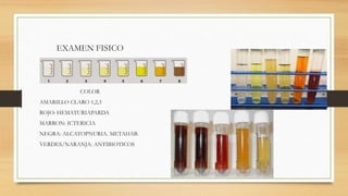 EXAMEN FISICO
COLOR
AMARILLO CLARO 1,2,3
ROJO: HEMATURIAPARDA
MARRON: ICTERICIA
NEGRA: ALCATOPNURIA. METAHAB.
VERDES/NARANJA: ANTIBIOTICOS
 