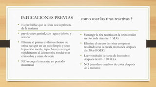 INDICACIONES PREVIAS
• Es preferible que la orina sea la primera
de la mañana
• previo aseo genital, con agua y jabón. y
secarse
• Elimine el primer y último chorro de
orina recoger en un vaso limpio y seco
la porción media, tapar bien y entregar
rapidamente al laboratorio, rotular con
el nombre y núm. de serie
• NO recoger la muestra en periodo
menstrual
• Sumergir la tira reactiva en la orina recién
recolectada durante 1 SEG.
• Elimine el exceso de orina comparar
resultado con la escala cromatica después
d e 30 a 60 SEG.
• Leer resultado del area de leucocitos
después de 60 - 120 SEG.
• NO considere cambios de color después
de 2 minutos
como usar las tiras reactivas ?
 