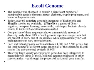 E.coli Genome
• The genome was observed to contain a significant number of
transposable genetic elements, repeat elements, cryptic prophages, and
bacteriophage remnants.
• Today, over 60 complete genomic sequences of Escherichia and
Shigella species are available. (Shigella is a genus of Gram-
negative, nonspore forming, non-motile, rod-shaped bacteria closely
related to Escherichia coli and Salmonella.)
• Comparison of these sequences shows a remarkable amount of
diversity; only about 20% of each genome represents sequences that
are present in every one of the isolates, while approximately 80% of
each genome can vary among isolates.
• Each individual genome contains between 4,000 and 5,500 genes, but
the total number of different genes among all of the sequenced E. coli
strains (the pan-genome) exceeds 16,000.
• This very large variety of component genes has been interpreted to
mean that two-thirds of the E. coli pan-genome originated in other
species and arrived through the process of horizontal gene transfer.
•
 