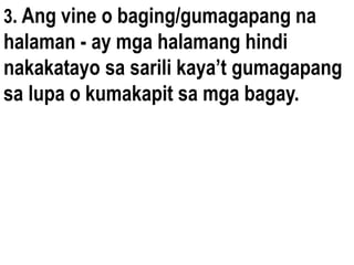 3. Ang vine o baging/gumagapang na
halaman - ay mga halamang hindi
nakakatayo sa sarili kaya’t gumagapang
sa lupa o kumakapit sa mga bagay.
 