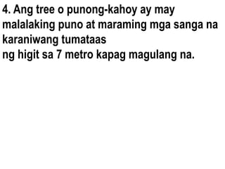4. Ang tree o punong-kahoy ay may
malalaking puno at maraming mga sanga na
karaniwang tumataas
ng higit sa 7 metro kapag magulang na.
 