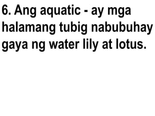 6. Ang aquatic - ay mga
halamang tubig nabubuhay
gaya ng water lily at lotus.
 