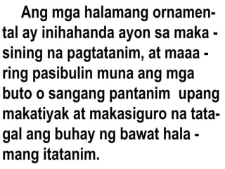 Ang mga halamang ornamen-
tal ay inihahanda ayon sa maka -
sining na pagtatanim, at maaa -
ring pasibulin muna ang mga
buto o sangang pantanim upang
makatiyak at makasiguro na tata-
gal ang buhay ng bawat hala -
mang itatanim.
 