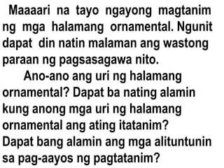 Maaaari na tayo ngayong magtanim
ng mga halamang ornamental. Ngunit
dapat din natin malaman ang wastong
paraan ng pagsasagawa nito.
Ano-ano ang uri ng halamang
ornamental? Dapat ba nating alamin
kung anong mga uri ng halamang
ornamental ang ating itatanim?
Dapat bang alamin ang mga alituntunin
sa pag-aayos ng pagtatanim?
 