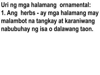 Uri ng mga halamang ornamental:
1. Ang herbs - ay mga halamang may
malambot na tangkay at karaniwang
nabubuhay ng isa o dalawang taon.
 