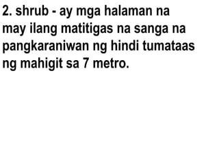 2. shrub - ay mga halaman na
may ilang matitigas na sanga na
pangkaraniwan ng hindi tumataas
ng mahigit sa 7 metro.
 