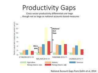 Cross-sector productivity differentials are large
… though not as large as national accounts based measures
Micro
gaps
National
Acct
Gaps
Productivity Gaps
National Account Gaps from Gollin et al, 2014
 