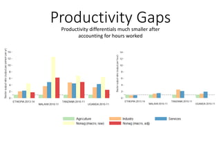 Productivity differentials much smaller after
accounting for hours worked
Productivity Gaps
 
