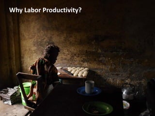 Why Labor Productivity?
 