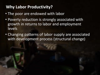 • The poor are endowed with labor
• Poverty reduction is strongly associated with
growth in returns to labor and employment
levels
• Changing patterns of labor supply are associated
with development process (structural change)
Why Labor Productivity?
 
