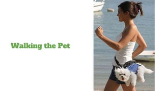 Walking the Pet
 